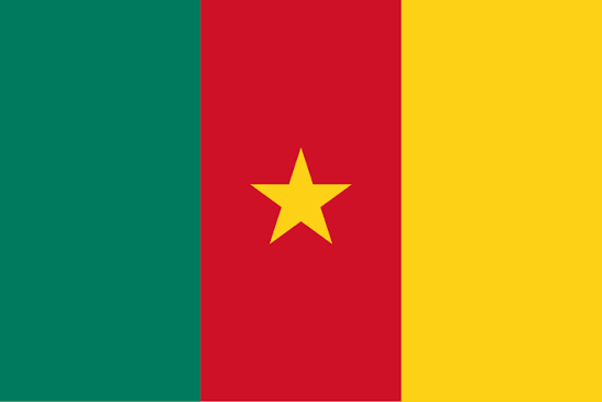 Cameroon flag
