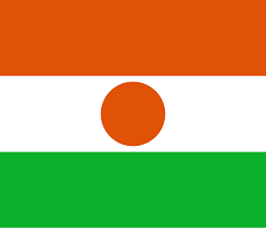 Niger flag